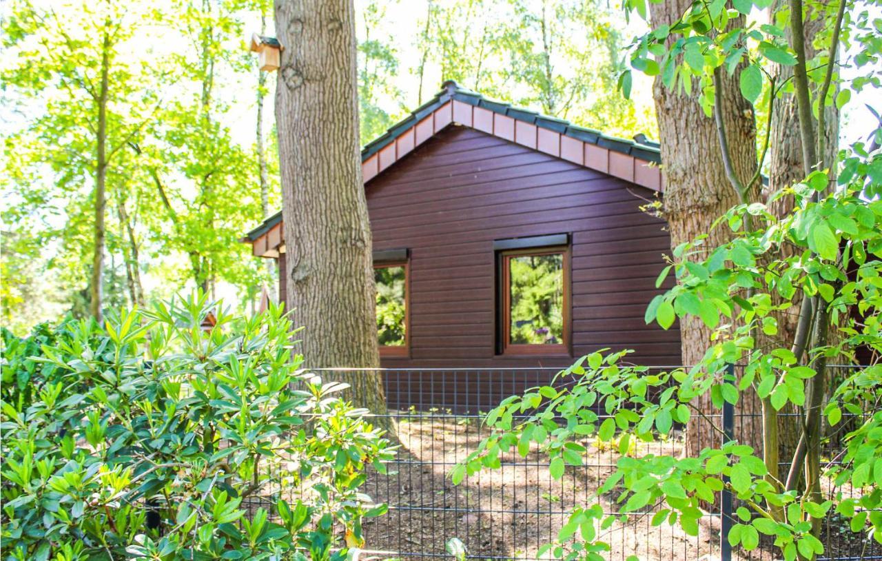 Pet Friendly Home In Haren With Sauna Dankern Dış mekan fotoğraf