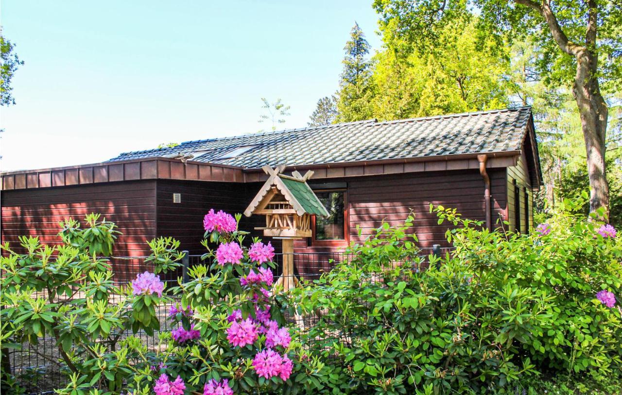 Pet Friendly Home In Haren With Sauna Dankern Dış mekan fotoğraf