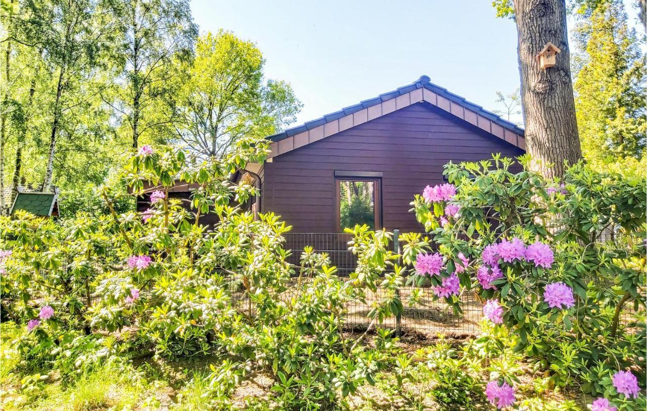 Pet Friendly Home In Haren With Sauna Dankern Dış mekan fotoğraf